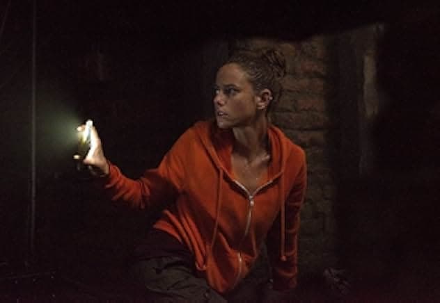 Crawl 2019