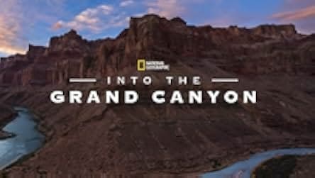 Into the Canyon 2019