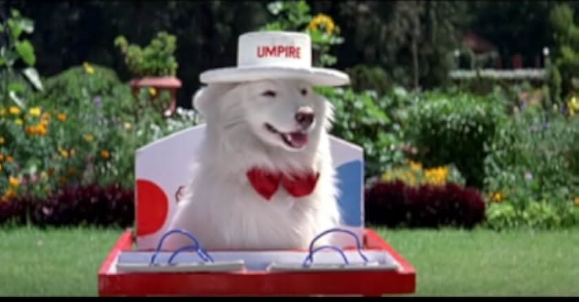 Hum Aapke Hain Koun..! 1994