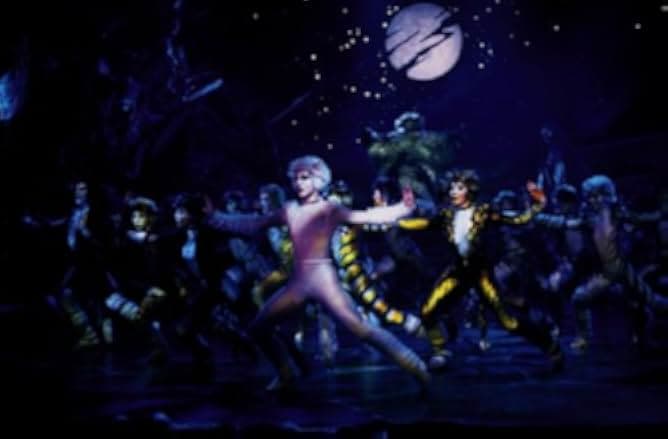 Cats 1998