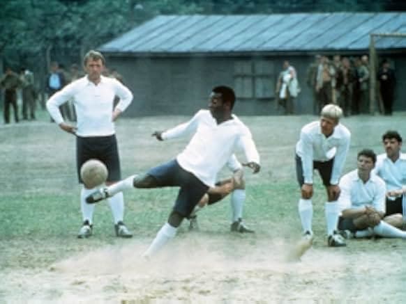 Victory 1981