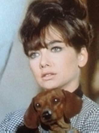 The Ugly Dachshund 1966