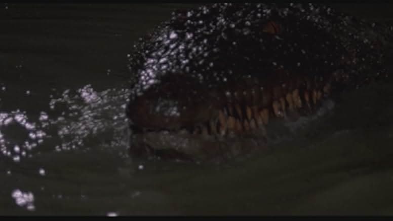 Killer Crocodile 1989