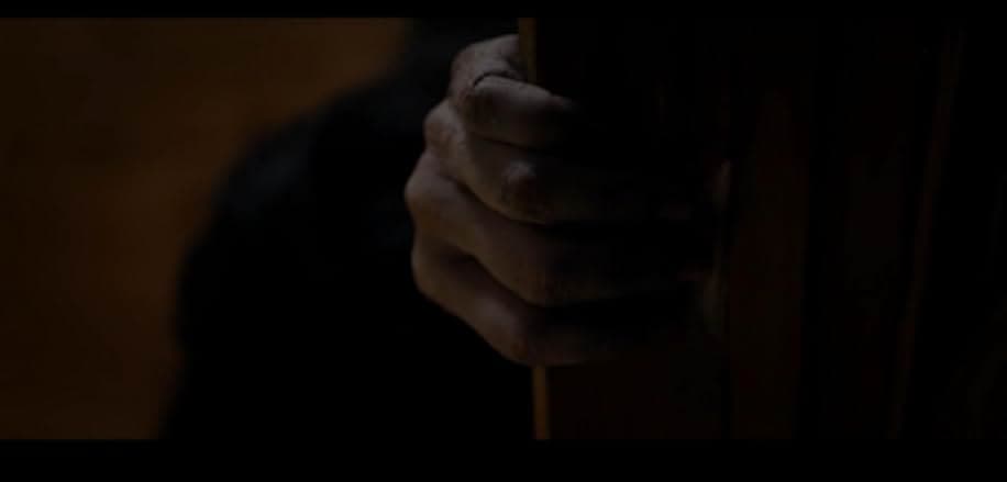 Pyewacket 2017