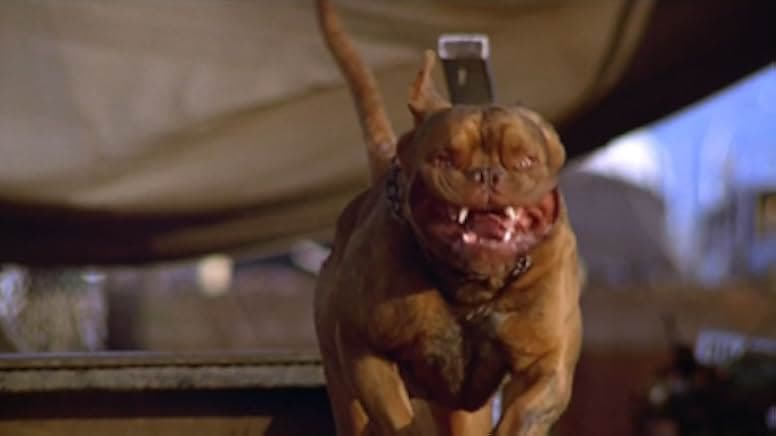 Turner & Hooch 1989