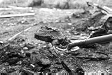 Dawson City: Frozen Time 2016