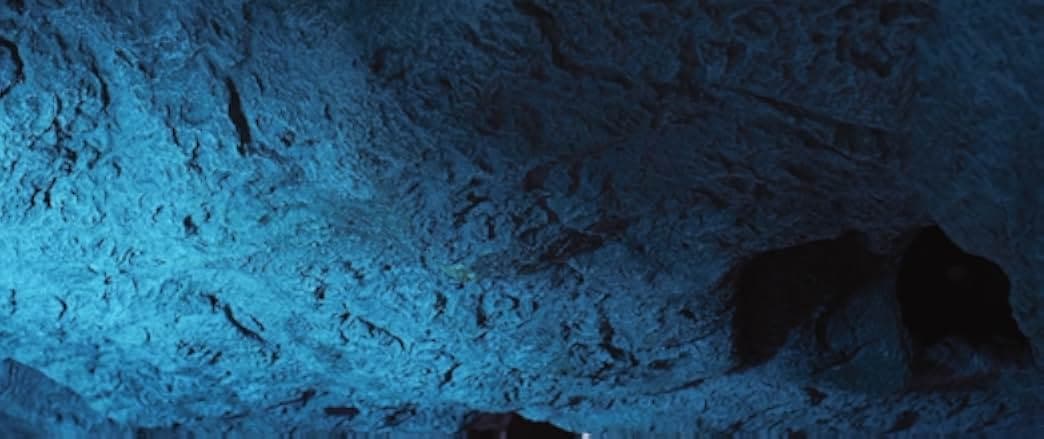 Aquarium of the Dead 2021