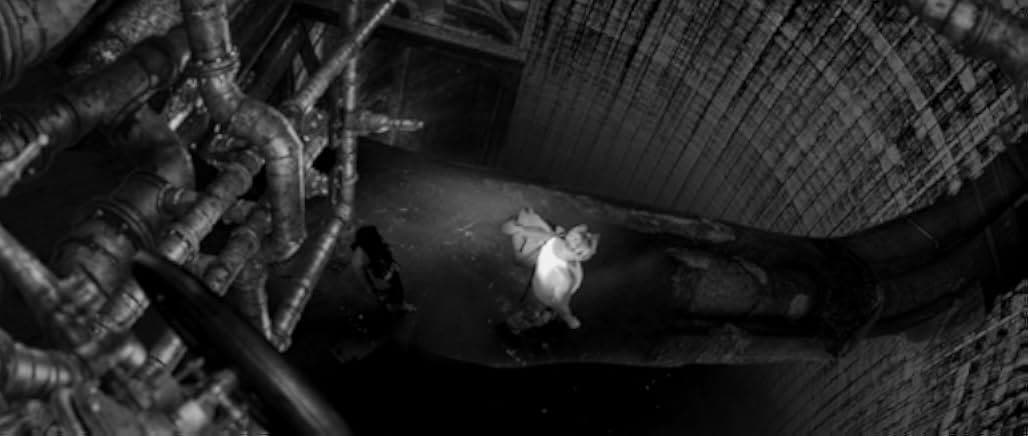 Friend of the World 2021