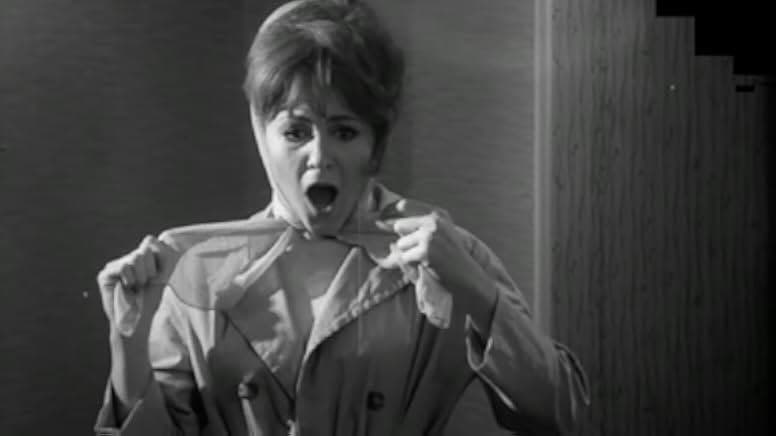 Warm Nights and Hot Pleasures 1964