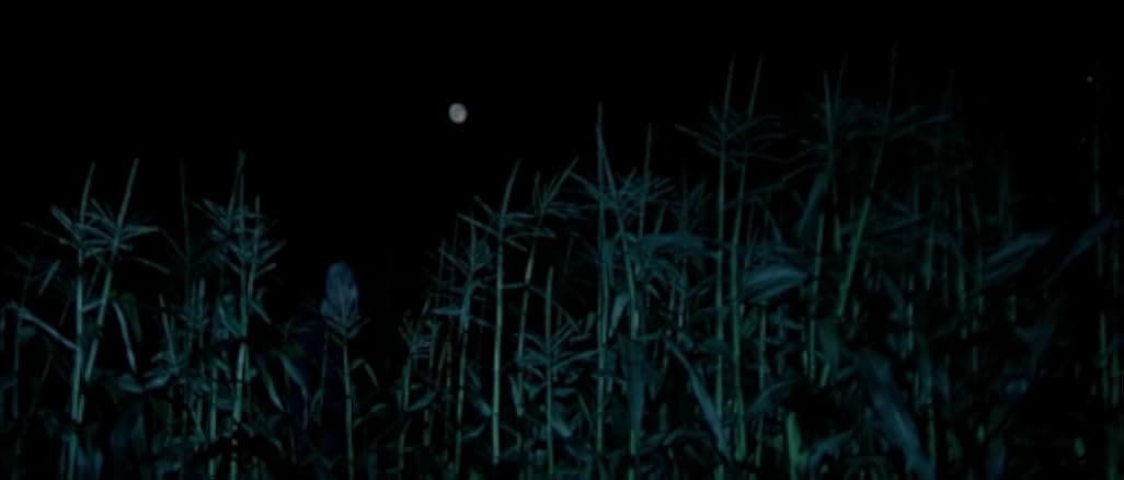 The Town That Dreaded Sundown 1976