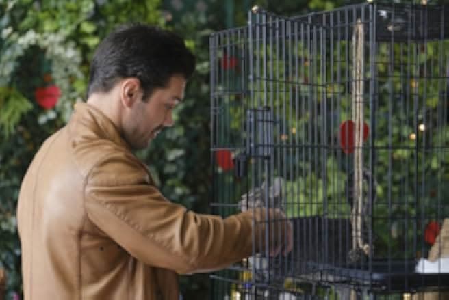 Matching Hearts 2020