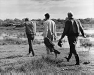 Pojken i trädet 1961