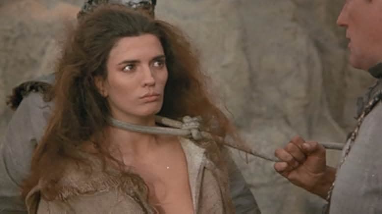 The Warrior and the Sorceress 1984
