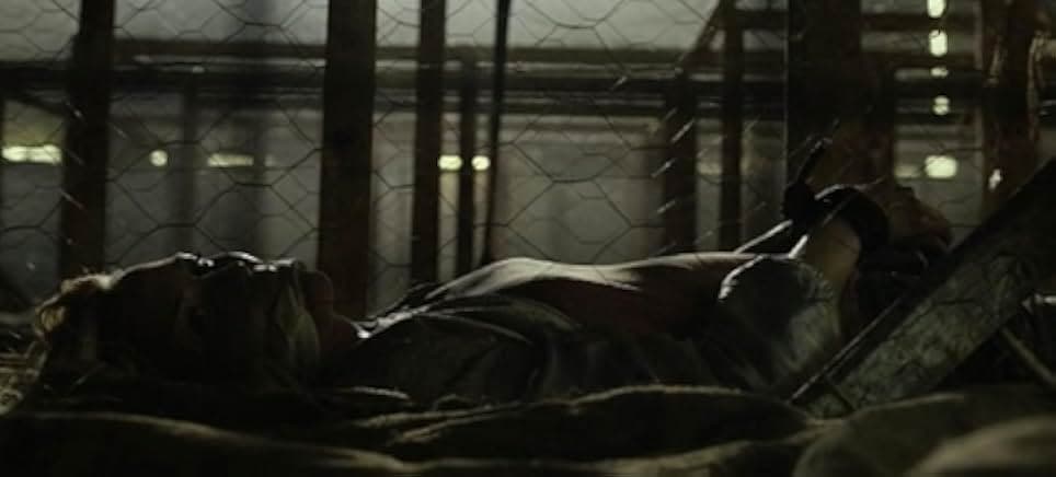 Awakening the Zodiac 2017