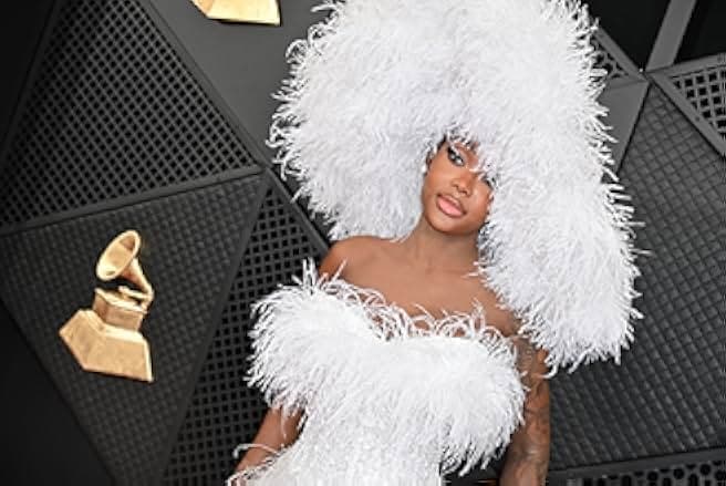 The 66th Annual Grammy Awards 2024