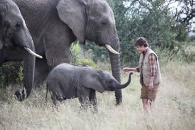 An Elephant's Journey 2017