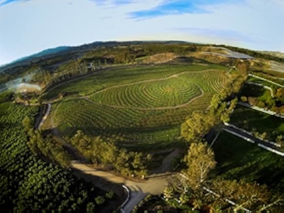 The Biggest Little Farm 2018