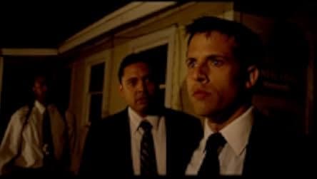 Where Birds Don't Fly 2017