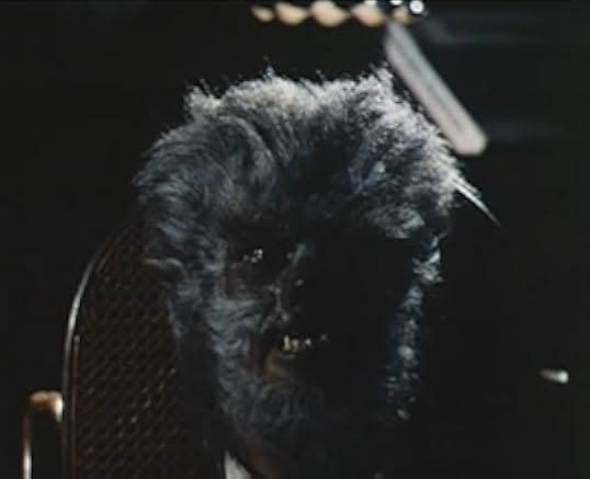 The Werewolf of Washington 1973