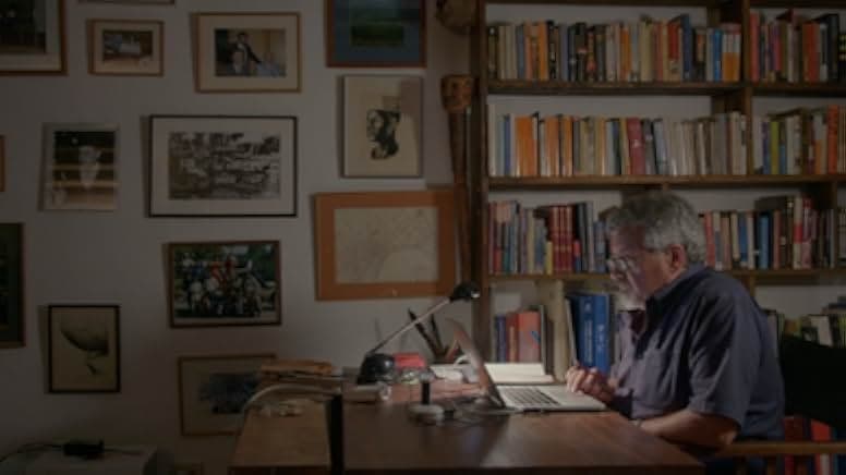 American Anarchist 2016