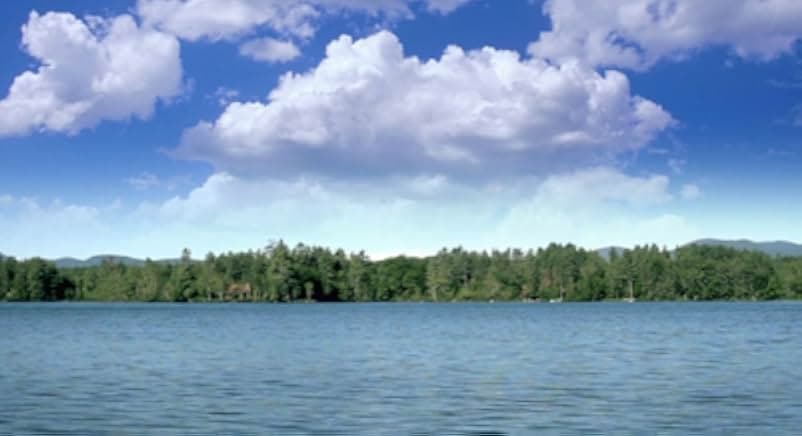 You Can't Kill Stephen King 2012