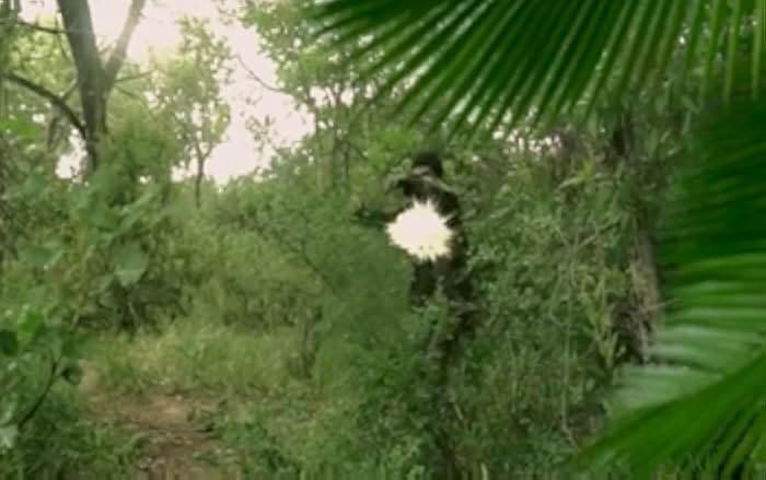 Jurassic Thunder 2019