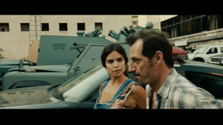 The Insult 2017