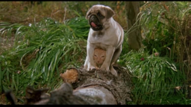 The Adventures of Milo and Otis 1986