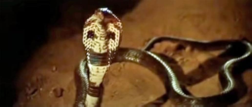 The Trial of Billy Jack 1974