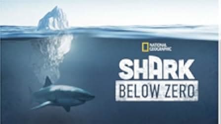 Shark Below Zero 2023