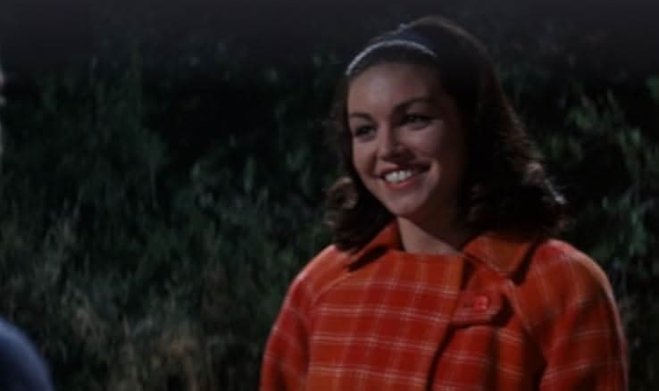 Inspector Clouseau 1968