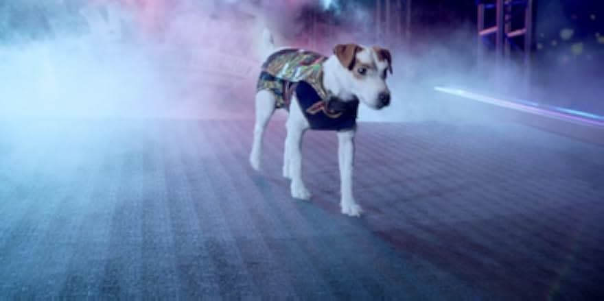 Russell Madness 2015