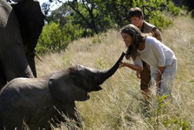 An Elephant's Journey 2017