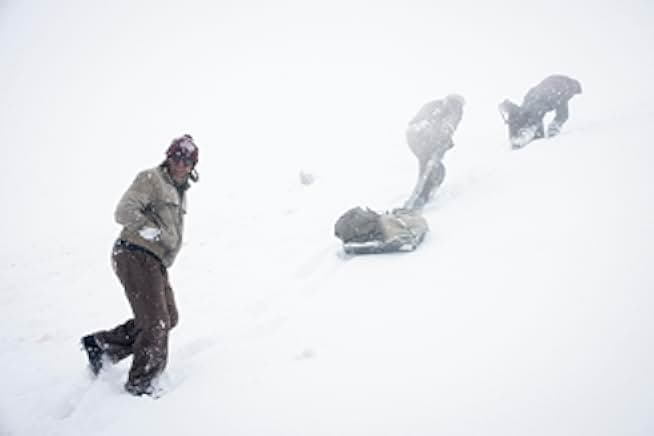 Society of the Snow 2024