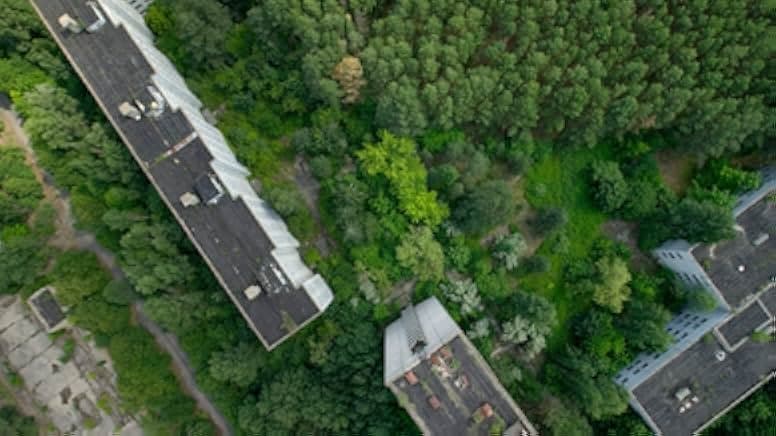 David Attenborough: A Life on Our Planet 2020