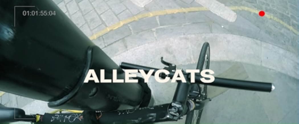 Alleycats 2016