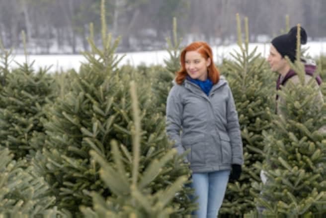 Christmas Festival of Ice 2017