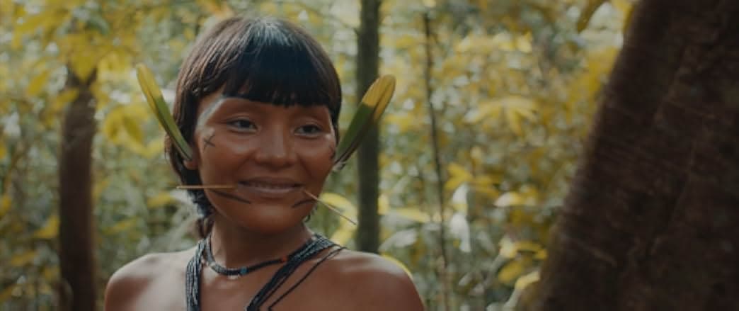 The Last Forest 2021