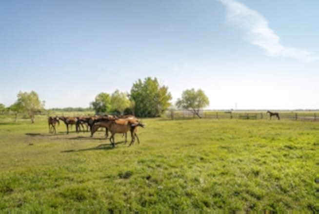 Under the Autumn Moon 2018