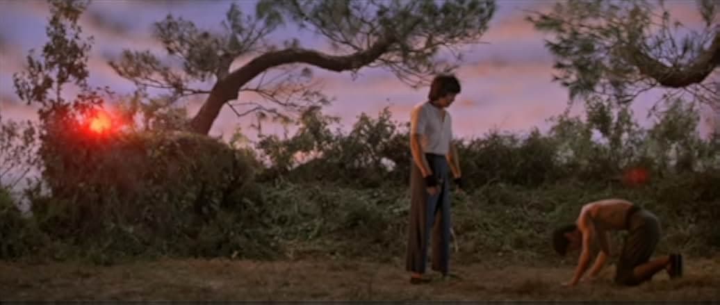 Mad Monkey Kung Fu 1979