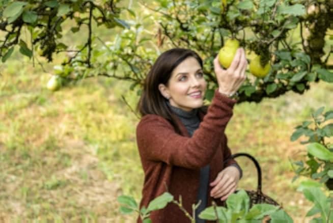 Harvest Love 2017