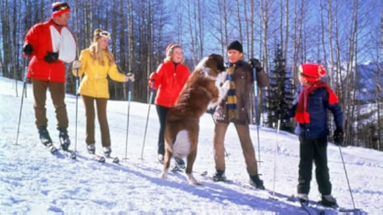 Snowball Express 1972