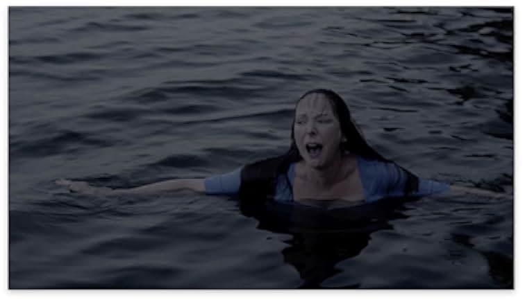 In the Moon's Shadow 2019