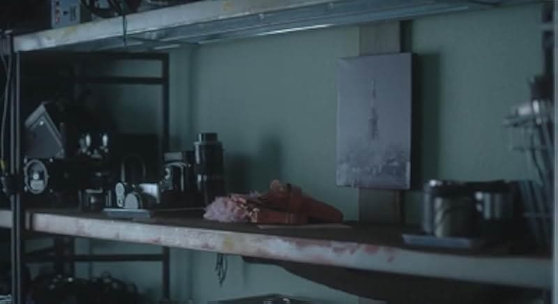 Love Like the Falling Petals 2022