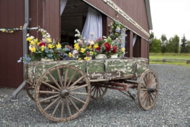 Wedding Every Weekend 2020