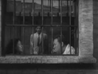 Stray Dog 1949
