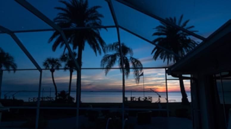 Bernie The Dolphin 2018