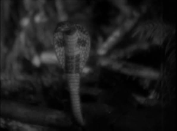 Four Frightened People 1934