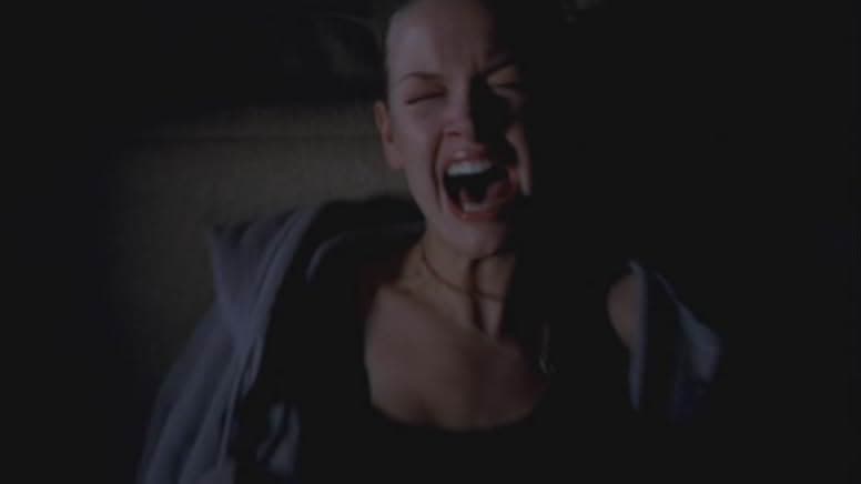 Fear of the Dark 2004