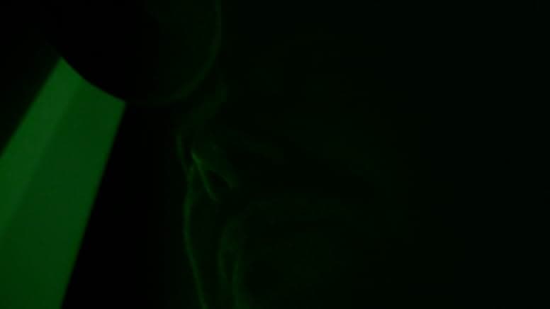 Attached: Paranormal 2021